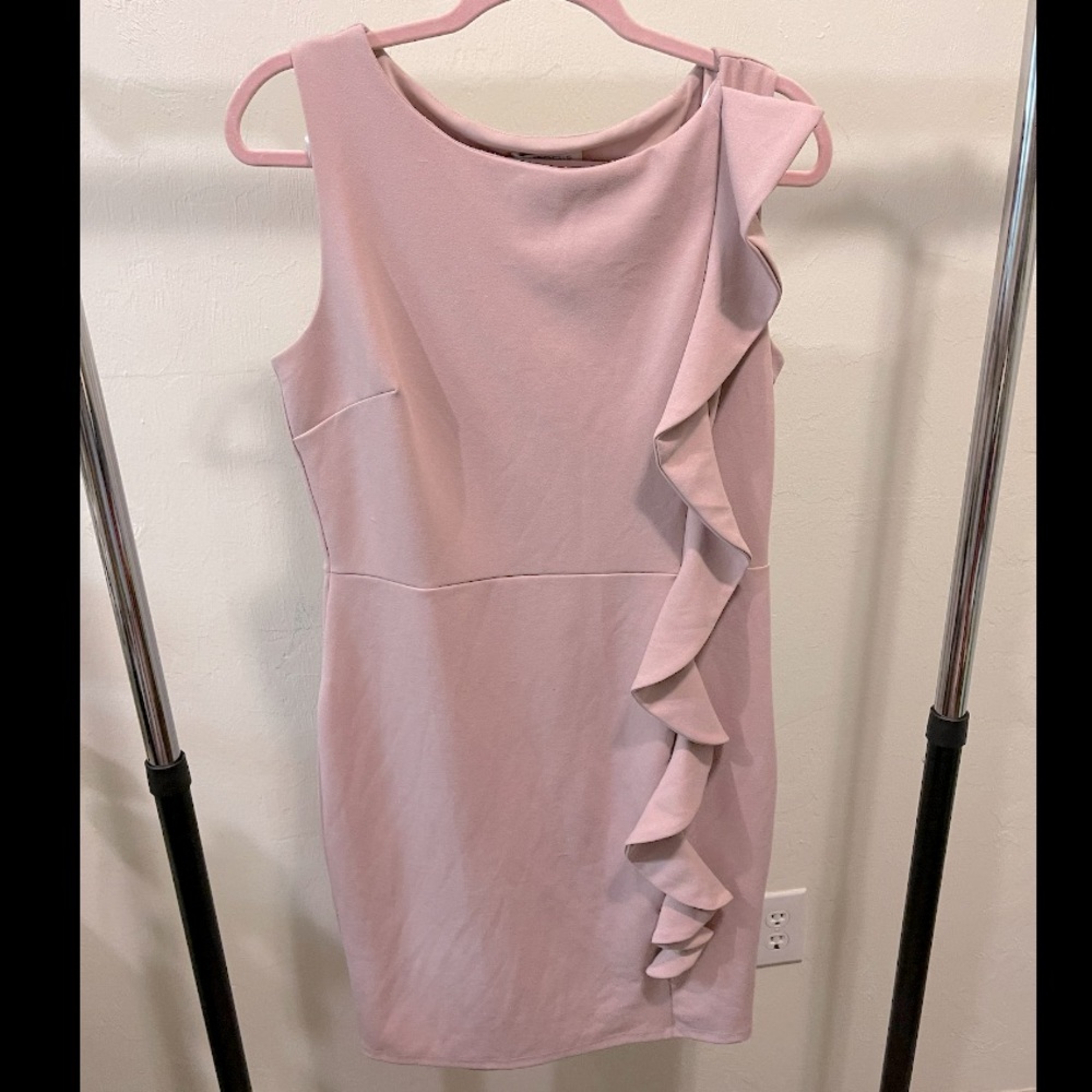 Enfocus Studio blush ruffle dress